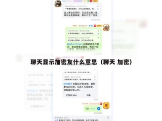 聊天显示加密友什么意思（聊天 加密）