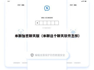 米聊加密聊天版（米聊这个聊天软件怎样）