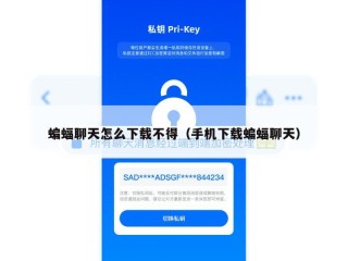 蝙蝠聊天怎么下载不得（手机下载蝙蝠聊天）