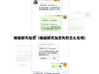 蝙蝠聊天加密（蝙蝠聊天加密失败怎么处理）