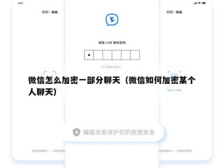微信怎么加密一部分聊天（微信如何加密某个人聊天）