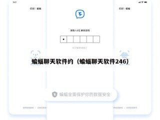 蝙蝠聊天软件约（蝙蝠聊天软件246）