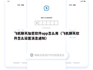 飞机聊天加密软件app怎么用（飞机聊天软件怎么设置消息通知）