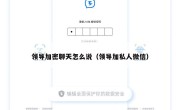 领导加密聊天怎么说（领导加私人微信）