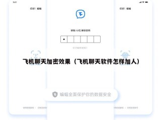 飞机聊天加密效果（飞机聊天软件怎样加人）