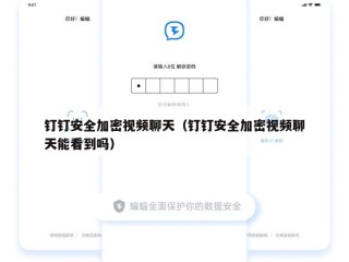 钉钉安全加密视频聊天（钉钉安全加密视频聊天能看到吗）