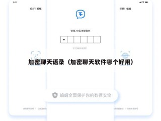 加密聊天语录（加密聊天软件哪个好用）