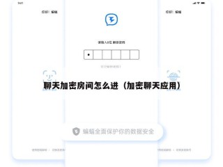 聊天加密房间怎么进（加密聊天应用）