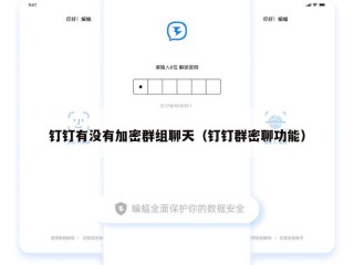 钉钉有没有加密群组聊天（钉钉群密聊功能）