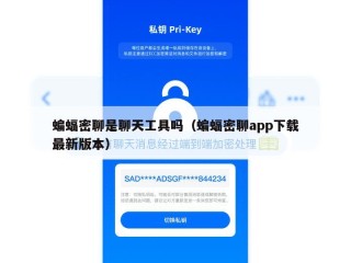 蝙蝠密聊是聊天工具吗（蝙蝠密聊app下载最新版本）