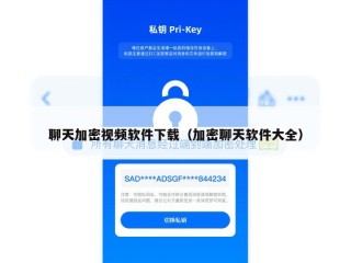 聊天加密视频软件下载（加密聊天软件大全）