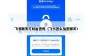 飞书聊天可以加密吗（飞书怎么加密聊天）