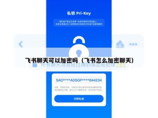 飞书聊天可以加密吗（飞书怎么加密聊天）