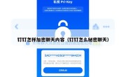 钉钉怎样加密聊天内容（钉钉怎么秘密聊天）