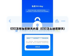 钉钉怎样加密聊天内容（钉钉怎么秘密聊天）