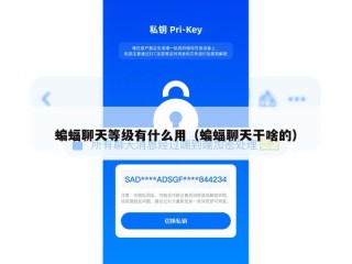 蝙蝠聊天等级有什么用（蝙蝠聊天干啥的）