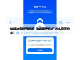 蝙蝠加密聊天画质（蝙蝠聊天软件怎么设置隐身）