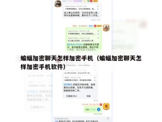 蝙蝠加密聊天怎样加密手机（蝙蝠加密聊天怎样加密手机软件）