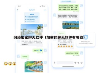 网络加密聊天软件（加密的聊天软件有哪些）