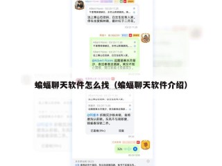 蝙蝠聊天软件怎么找（蝙蝠聊天软件介绍）