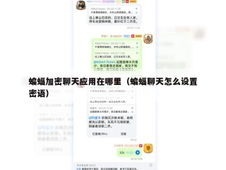 蝙蝠加密聊天应用在哪里（蝙蝠聊天怎么设置密语）