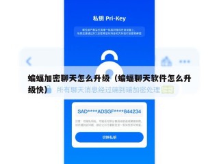 蝙蝠加密聊天怎么升级（蝙蝠聊天软件怎么升级快）