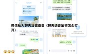 微信私人聊天加密语音（聊天语音加密怎么打开）