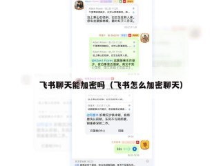 飞书聊天能加密吗（飞书怎么加密聊天）