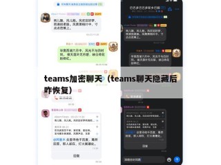 teams加密聊天（teams聊天隐藏后咋恢复）