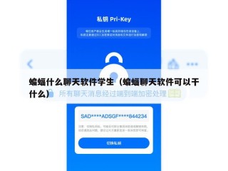 蝙蝠什么聊天软件学生（蝙蝠聊天软件可以干什么）