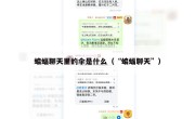 蝙蝠聊天里的伞是什么（“蝙蝠聊天”）