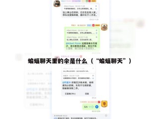 蝙蝠聊天里的伞是什么（“蝙蝠聊天”）