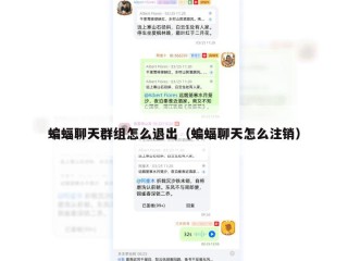 蝙蝠聊天群组怎么退出（蝙蝠聊天怎么注销）