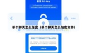 单个聊天怎么加密（单个聊天怎么加密文件）