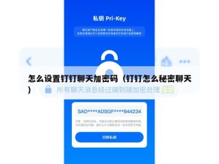 怎么设置钉钉聊天加密码（钉钉怎么秘密聊天）