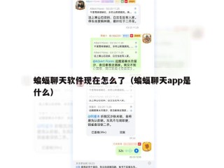 蝙蝠聊天软件现在怎么了（蝙蝠聊天app是什么）