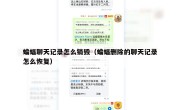 蝙蝠聊天记录怎么销毁（蝙蝠删除的聊天记录怎么恢复）