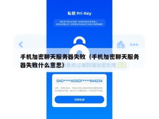 手机加密聊天服务器失败（手机加密聊天服务器失败什么意思）