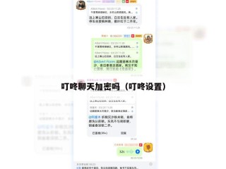 叮咚聊天加密吗（叮咚设置）