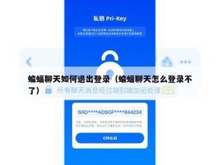 蝙蝠聊天如何退出登录（蝙蝠聊天怎么登录不了）