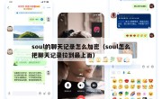soul的聊天记录怎么加密（soul怎么把聊天记录拉到最上面）