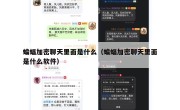 蝙蝠加密聊天里面是什么（蝙蝠加密聊天里面是什么软件）