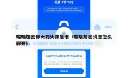 蝙蝠加密聊天的头像是谁（蝙蝠加密消息怎么解开）
