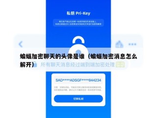 蝙蝠加密聊天的头像是谁（蝙蝠加密消息怎么解开）