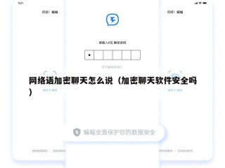 网络语加密聊天怎么说（加密聊天软件安全吗）