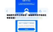 蝙蝠聊天软件上的语言（蝙蝠聊天软件暗语在哪里设置）