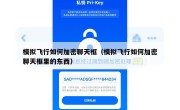 模拟飞行如何加密聊天框（模拟飞行如何加密聊天框里的东西）