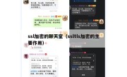 ssl加密的聊天室（ssltls加密的主要作用）