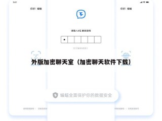 外版加密聊天室（加密聊天软件下载）