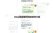 bleep加密聊天吗的简单介绍